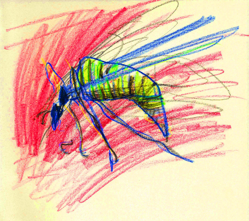 wasp from photoshop