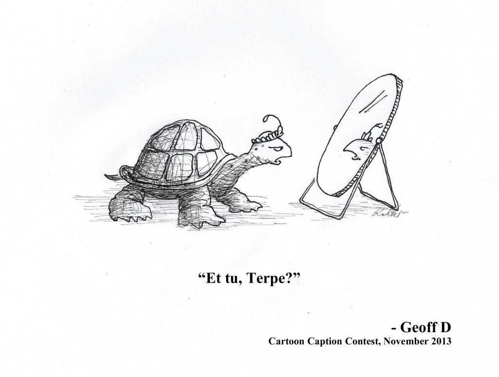 Turtle Geoff D