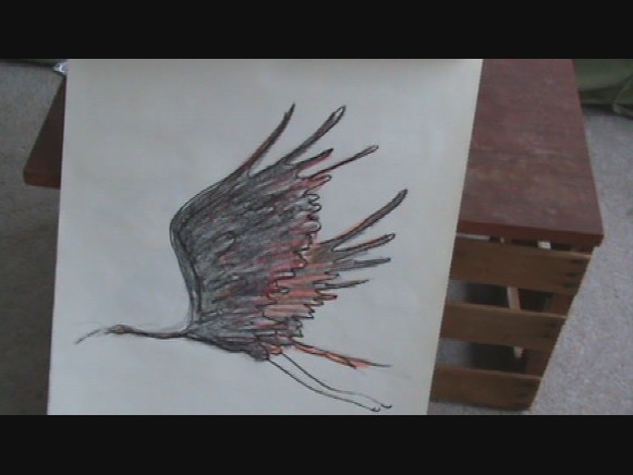 bird in crayon 2